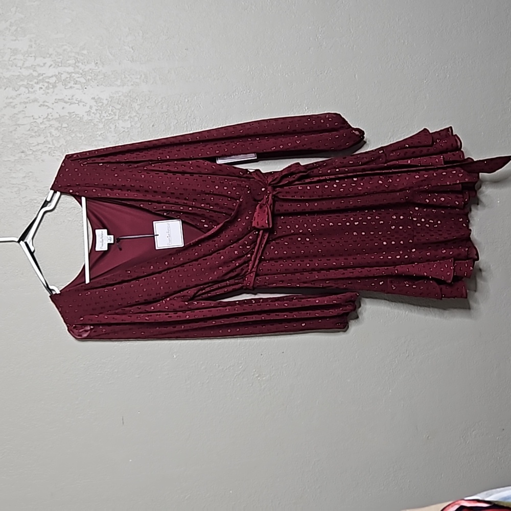 Wine Red NWT Dress Size 16